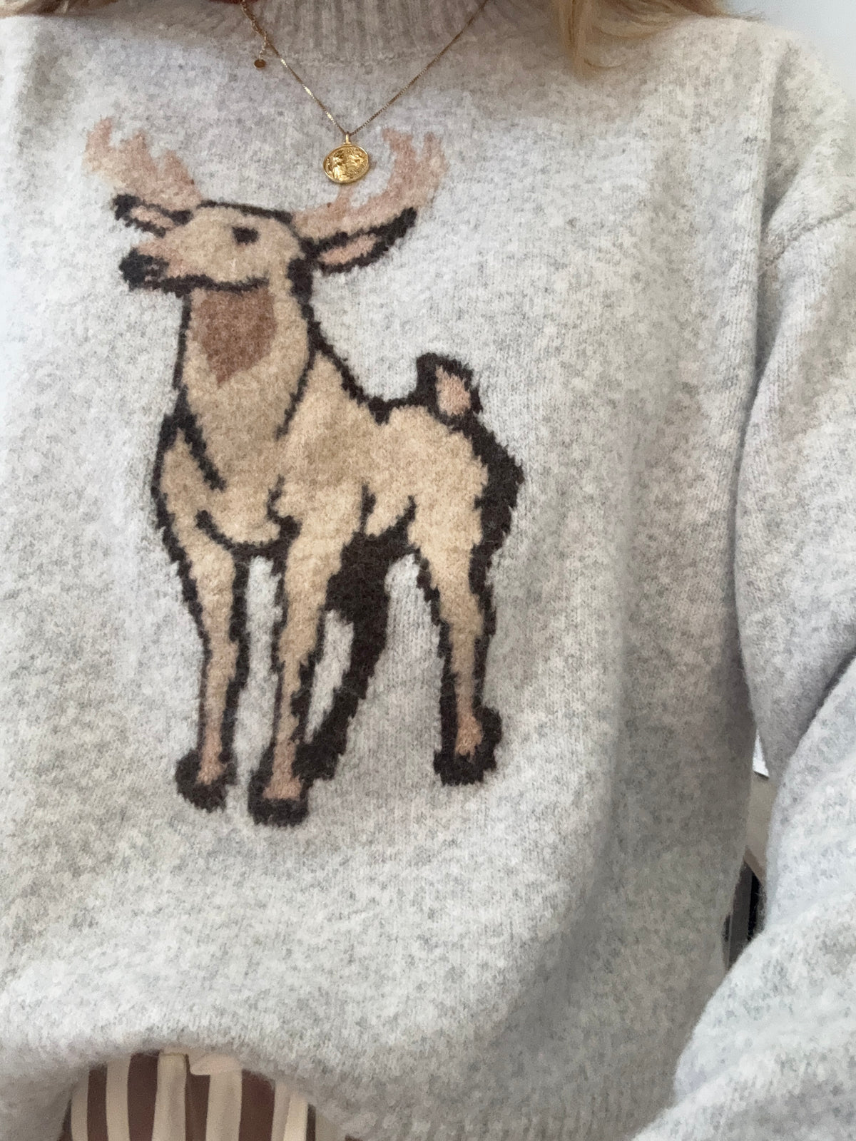 Deer Sweater