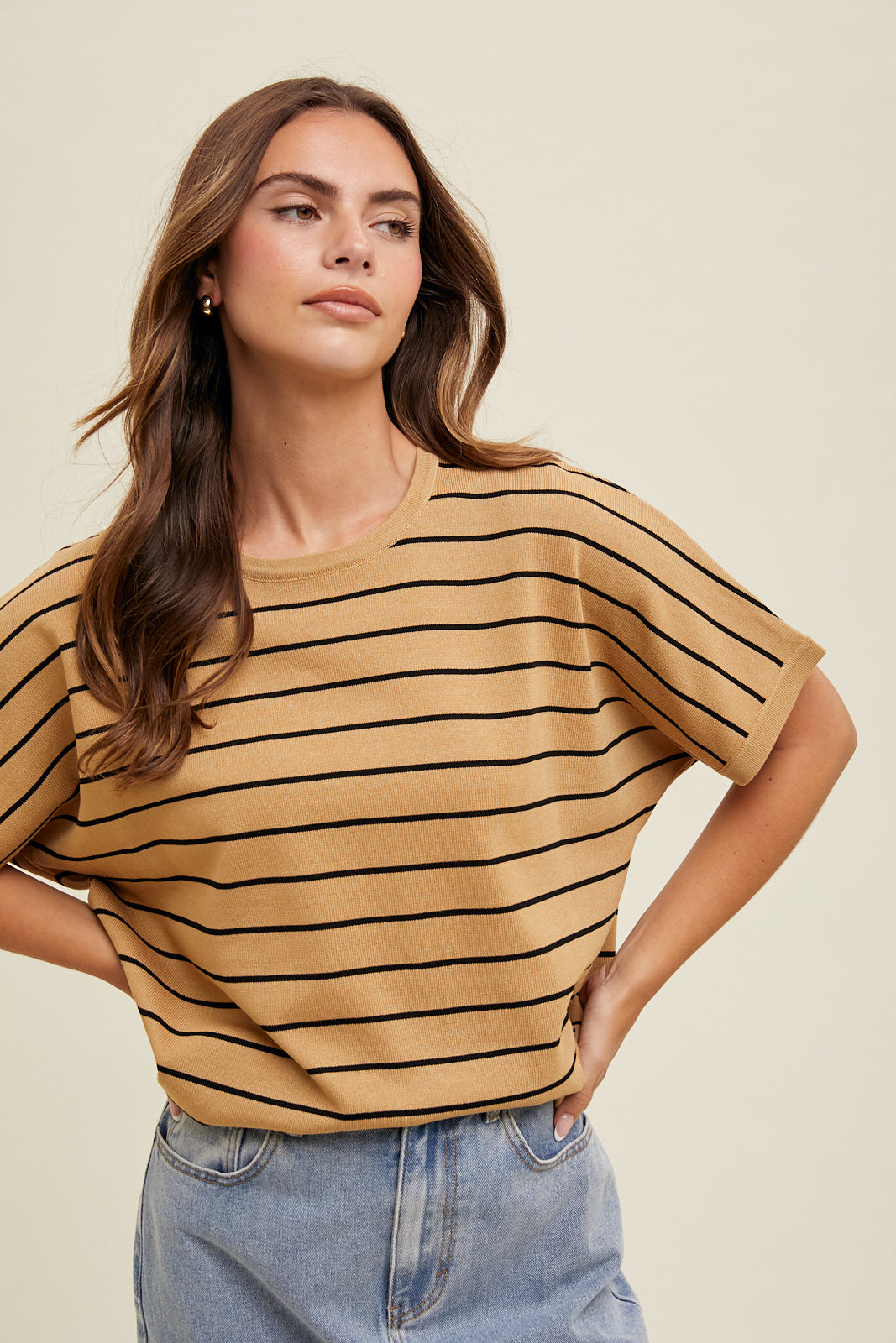 Stripe Boxy Lightweight Sweater Top in Taupe and Black